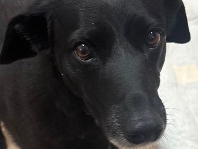 Hello my name is Angel