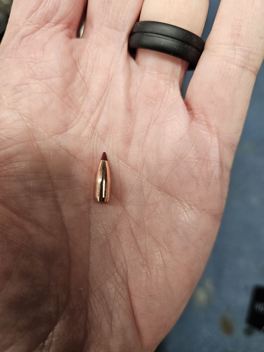 Nosler Ballistic Tip bullets