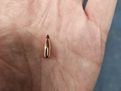 Nosler Ballistic Tip bullets