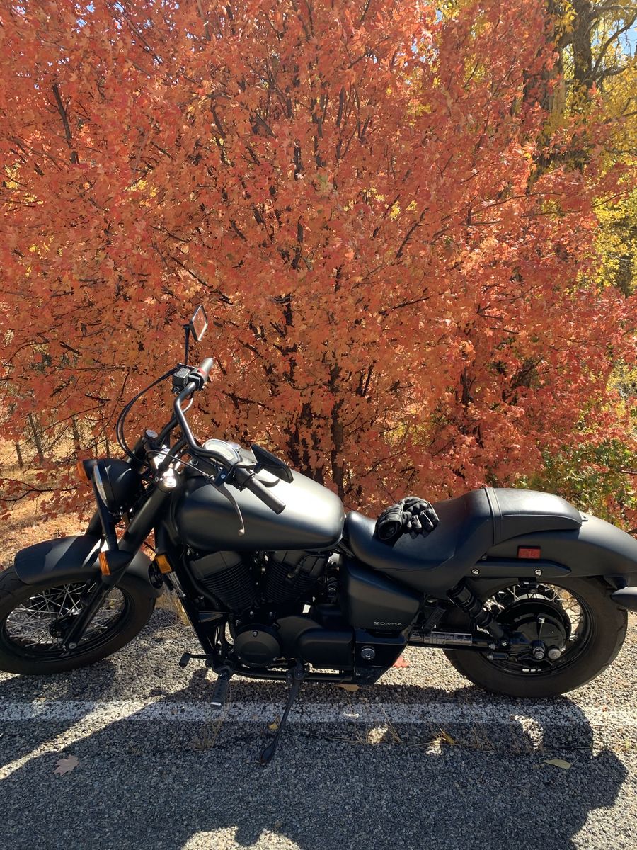 Honda Shadow 750