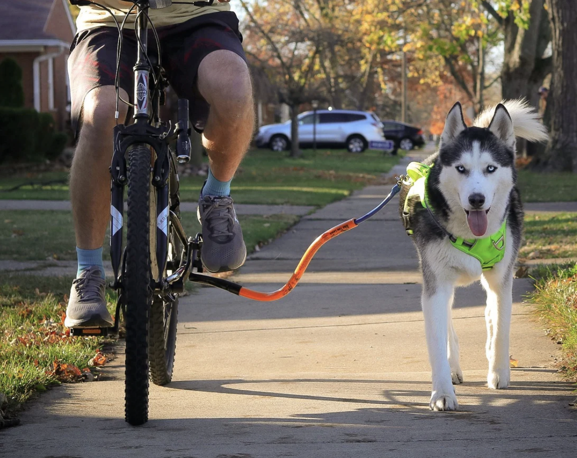 Bike Tow Leash / Bike with Your Dog / Fitness / Exercise (sells for $183 + tax & shipping. you save $133)