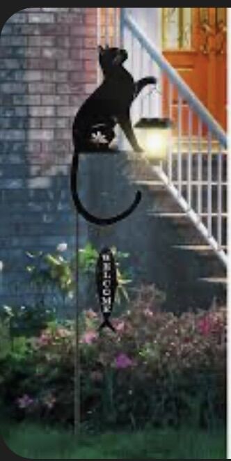 Cat With Solar Light