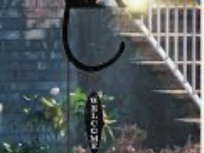 Cat With Solar Light