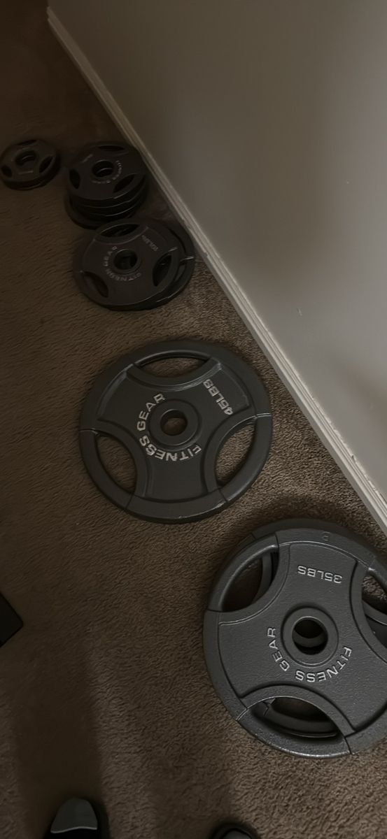 300 lb Olympic Barbell & Weight Plate Set (Fitness Gear)