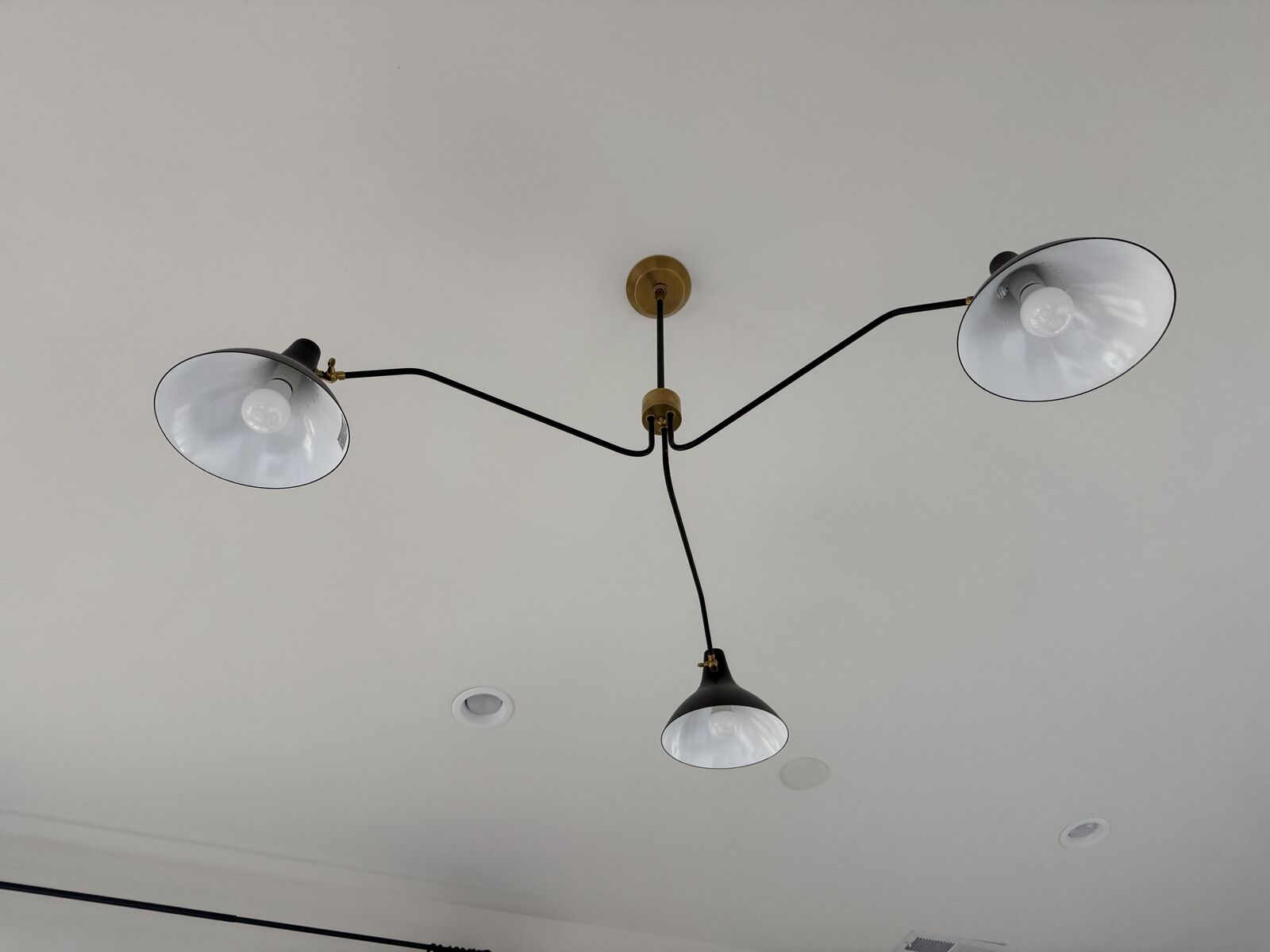 Elegant Designer Chandelier