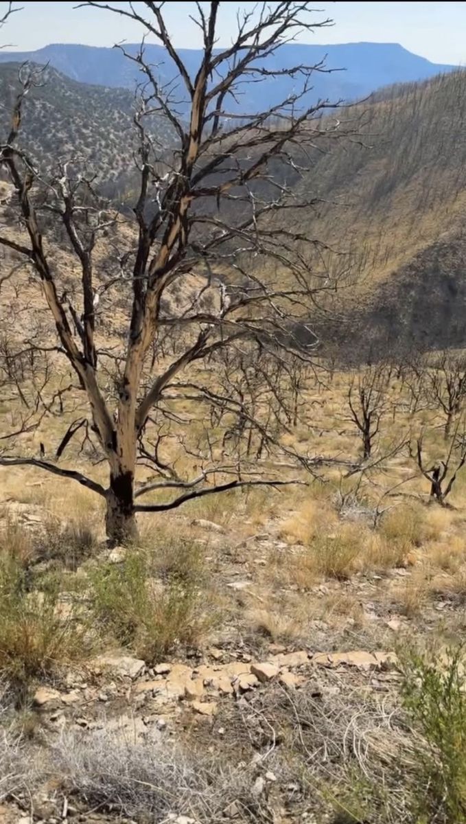 10 Acre Property For Sale