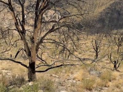 10 Acre Property For Sale