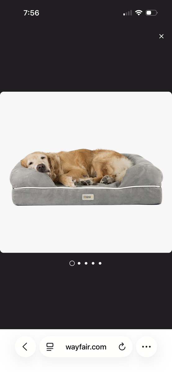 Large dog bed for sale