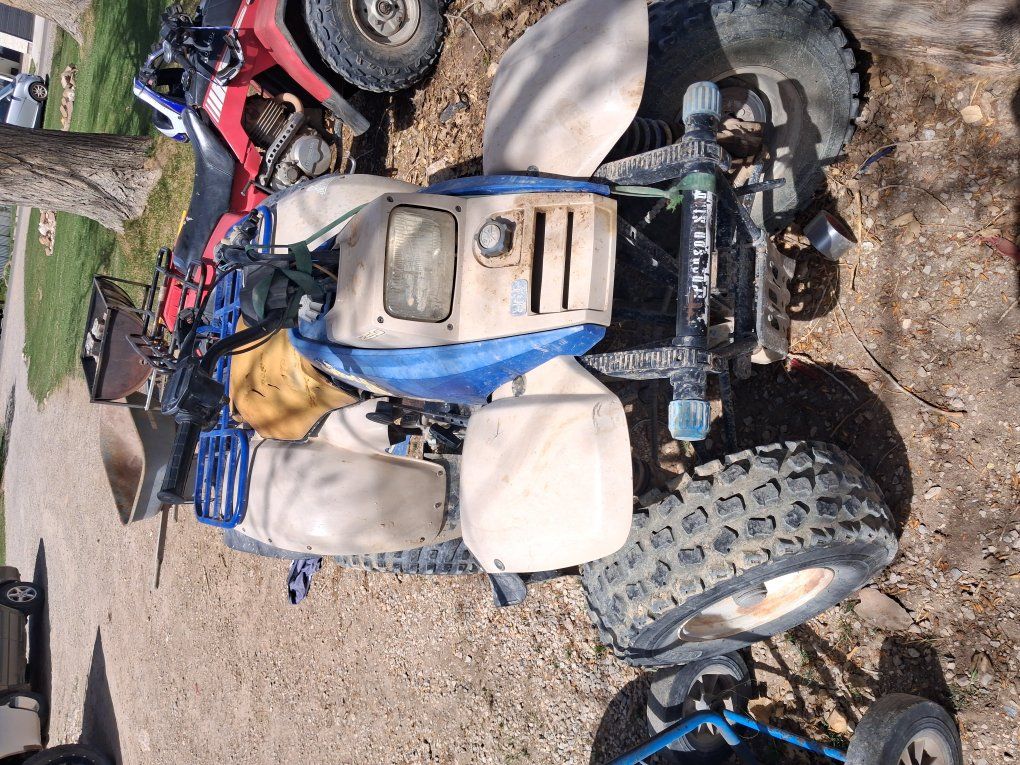 Polaris trailboss 250