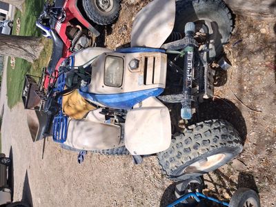 Polaris trailboss 250