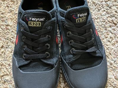 Feiyue Martial Arts Shoes Big Kid Size 3