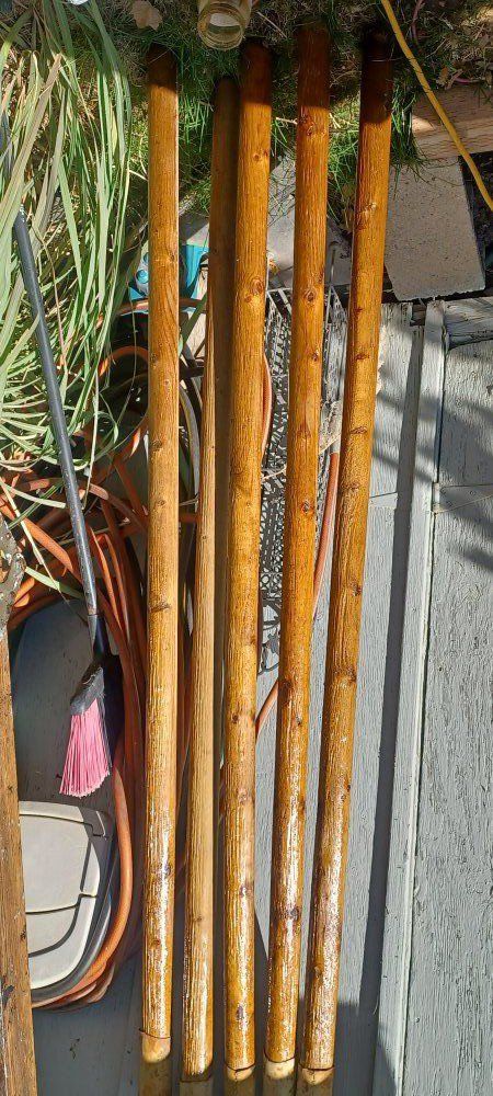 Canopy 5 Lodge Poles 6 Foot & Pyramid Pole 12 Foot