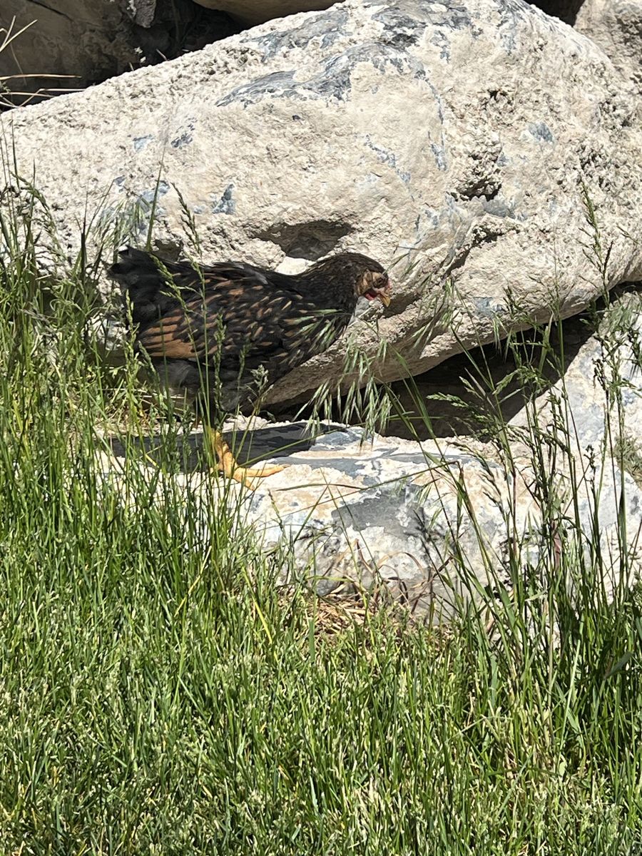 Main image 11