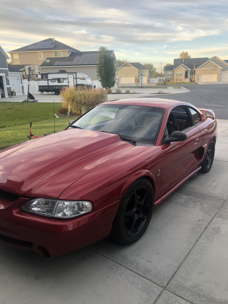 1998 FORD MUSTANG SVT COBRA SVT