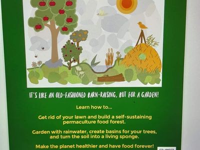 FRee Hands On all Day Putting in a Food Forest from Design
