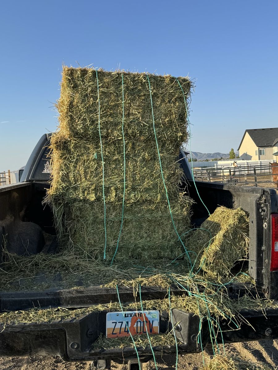 Hay- 9 small bales