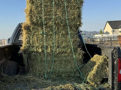 Hay- 9 small bales