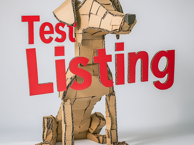 Test Cardboard Dog