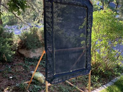 Lacroose, Baseball Bounce Back