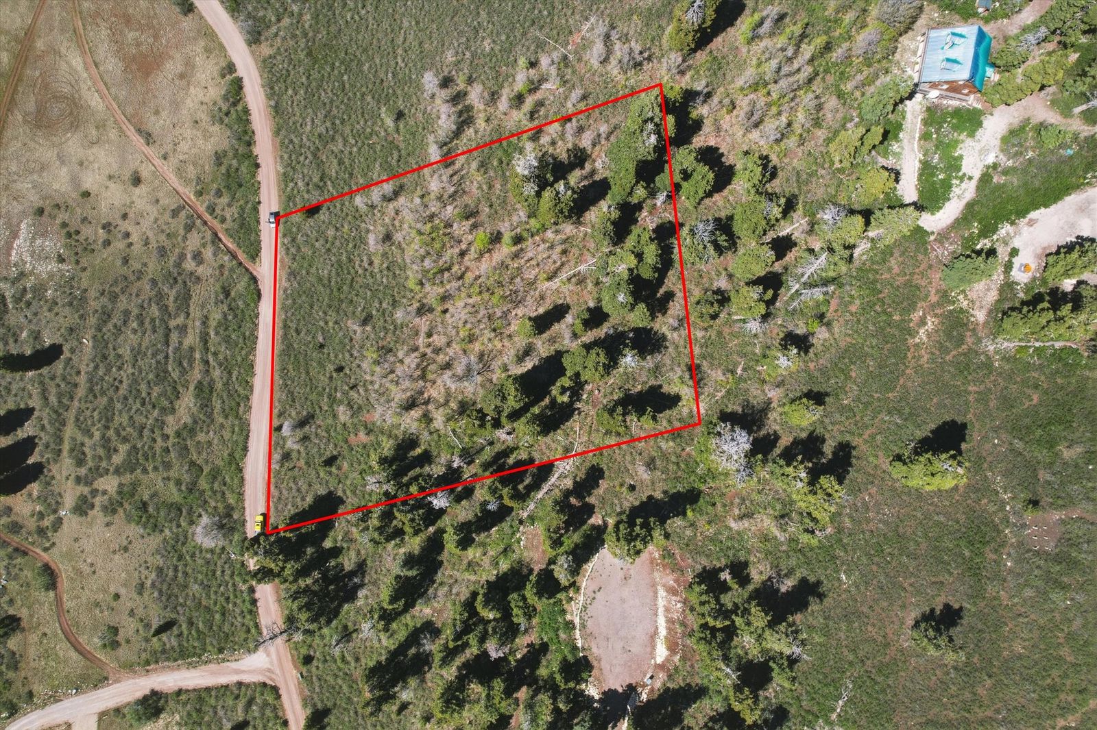 Main image 6