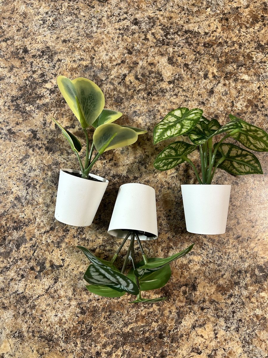 Set of 3 Artificial Potted Plants - Faux Succulent, Watermelon Peperomia, Syngonium
