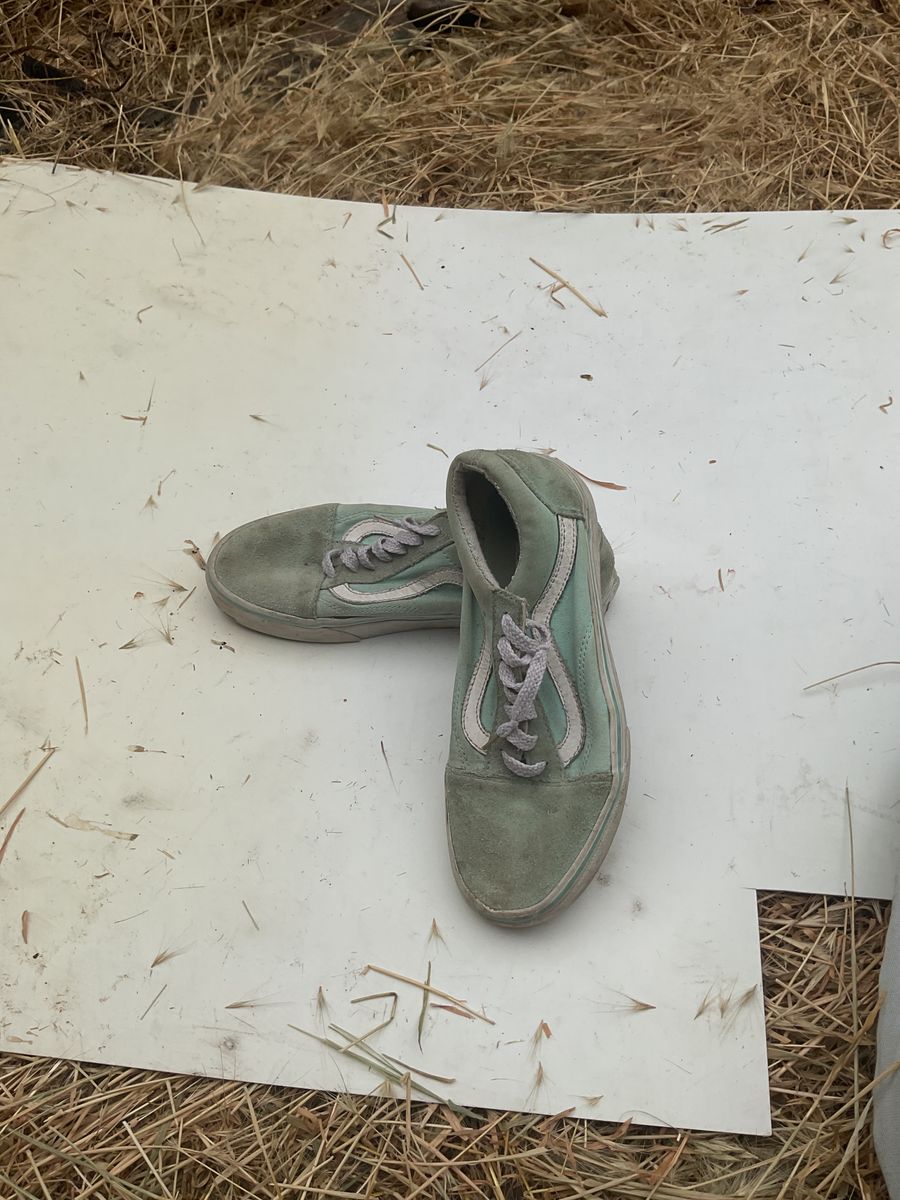 teal vans lowtop