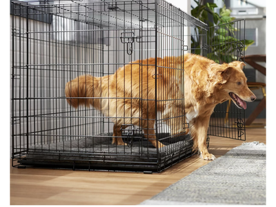 XL 48 inch Collapsable Dog Crate