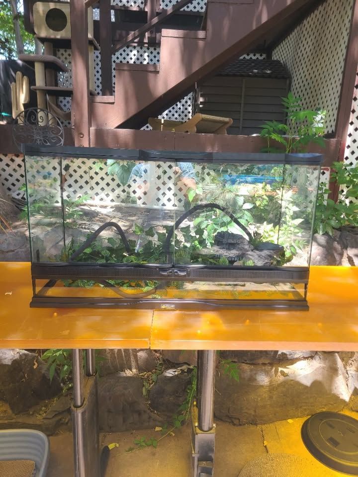 Reptilian Tank