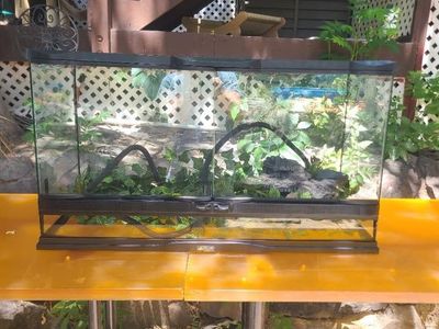 Reptilian Tank