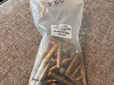 Bag If 55 New 300 Blackout Ammo