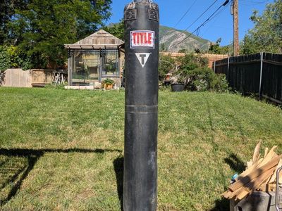 punching kicking bag