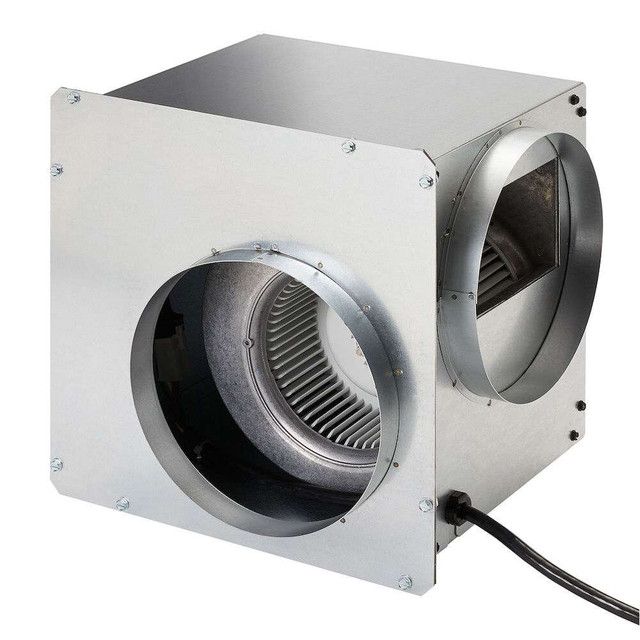 Main image 6