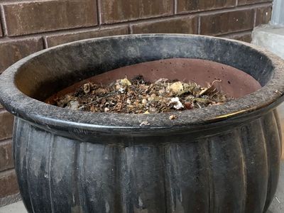 Black Ceramic Planter