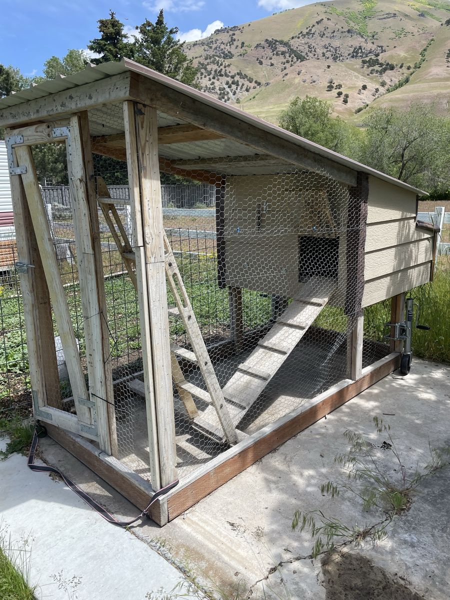 Sturdy Wooden Chicken Coop with Run & Nesting Boxes - Built to Last
