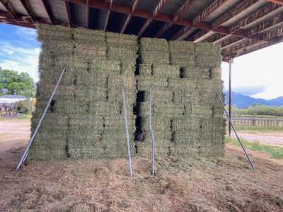 Top Quality 3rd Crop Alfalfa Hay / Pickup or Delivery