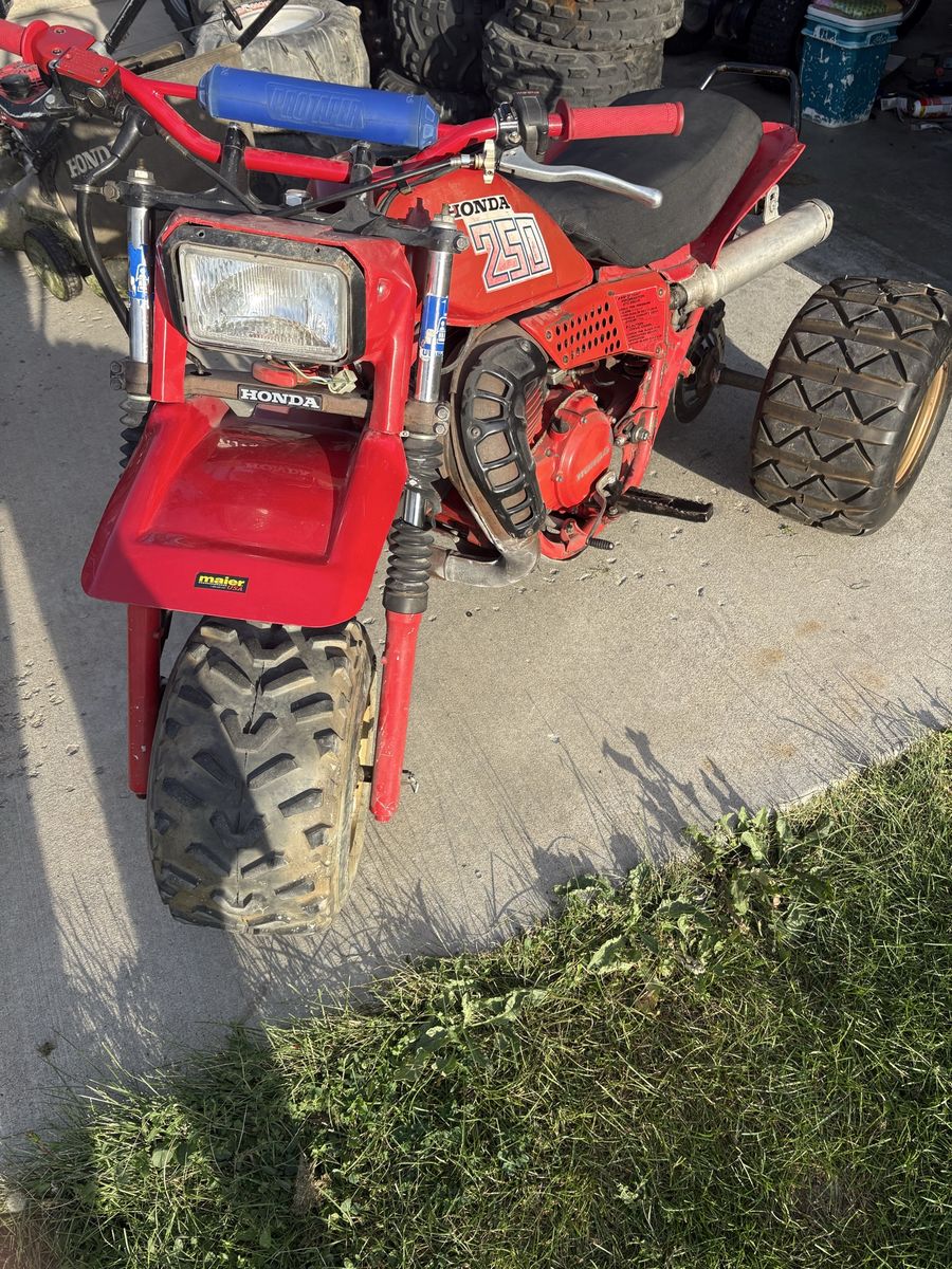 1982 Honda Atc250r