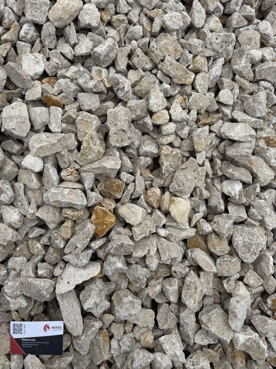 Main image 5