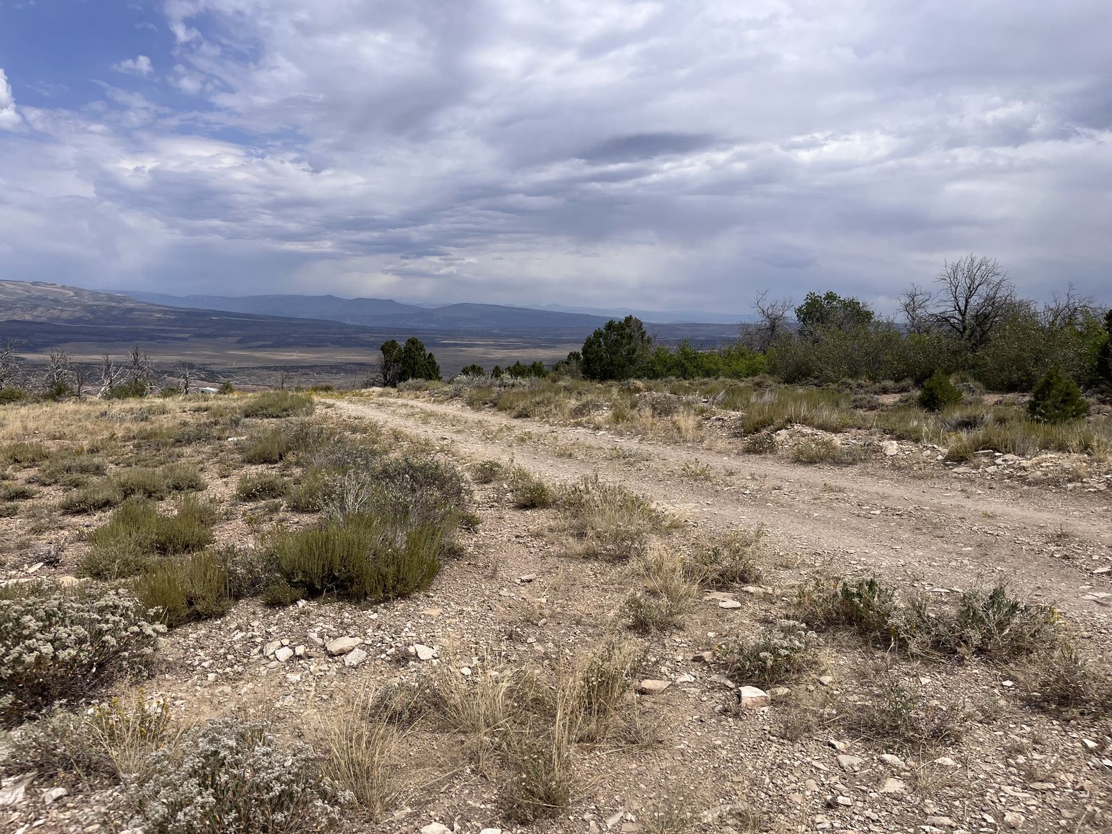 10- Acre Flat lot (Fruitland)