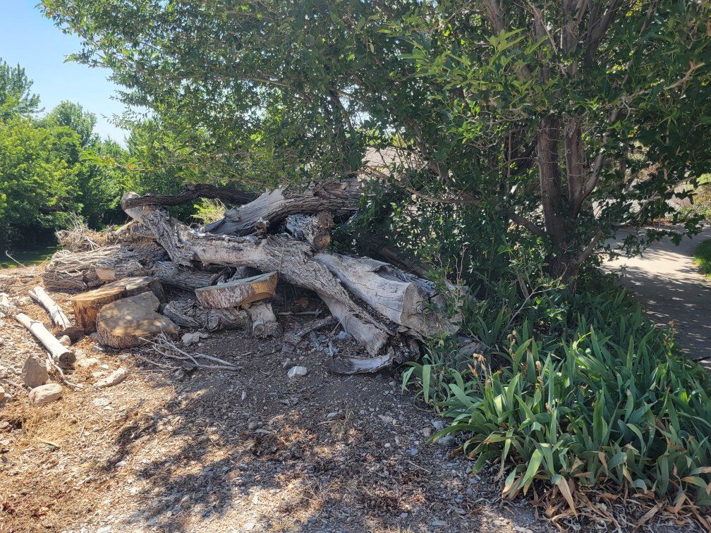Main image 2