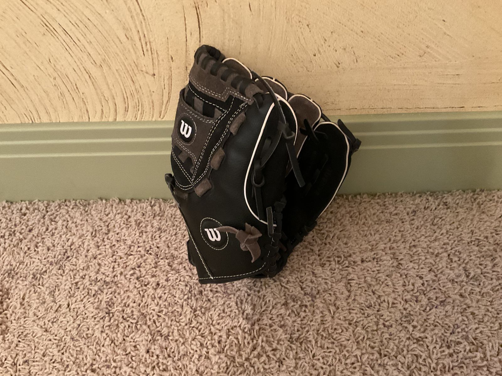Baseball Glove