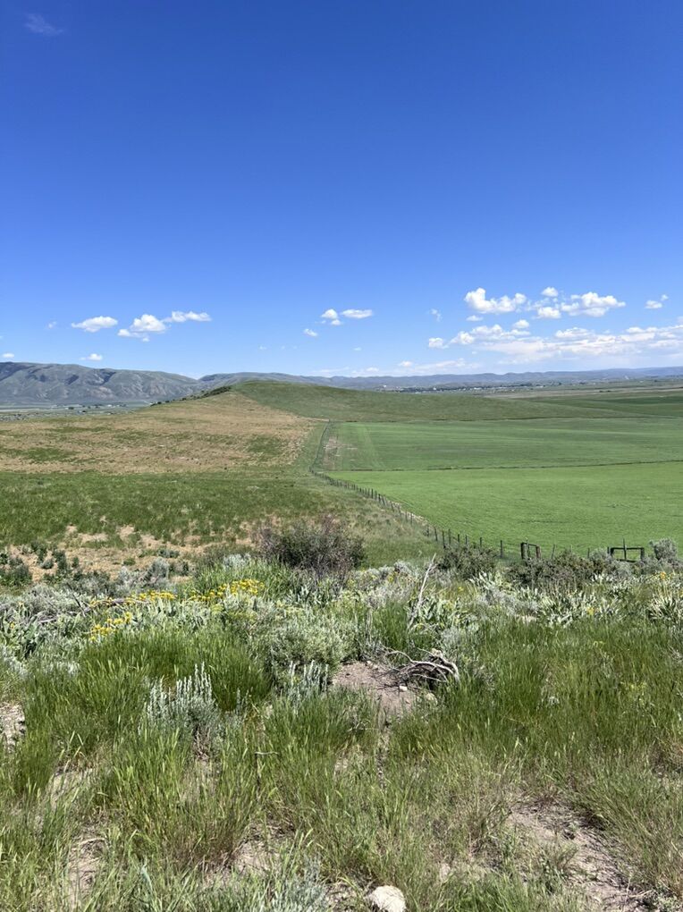 Beautiful 40 Acre Parcel In Bear Lake County