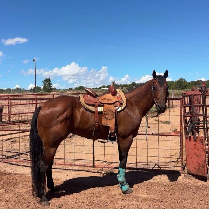 15 inch corriente barrel saddle 