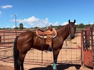 15 inch corriente barrel saddle