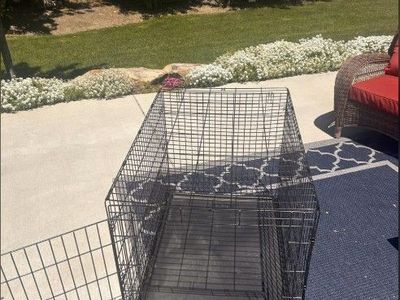 Wire Dog Crate, Extra Large