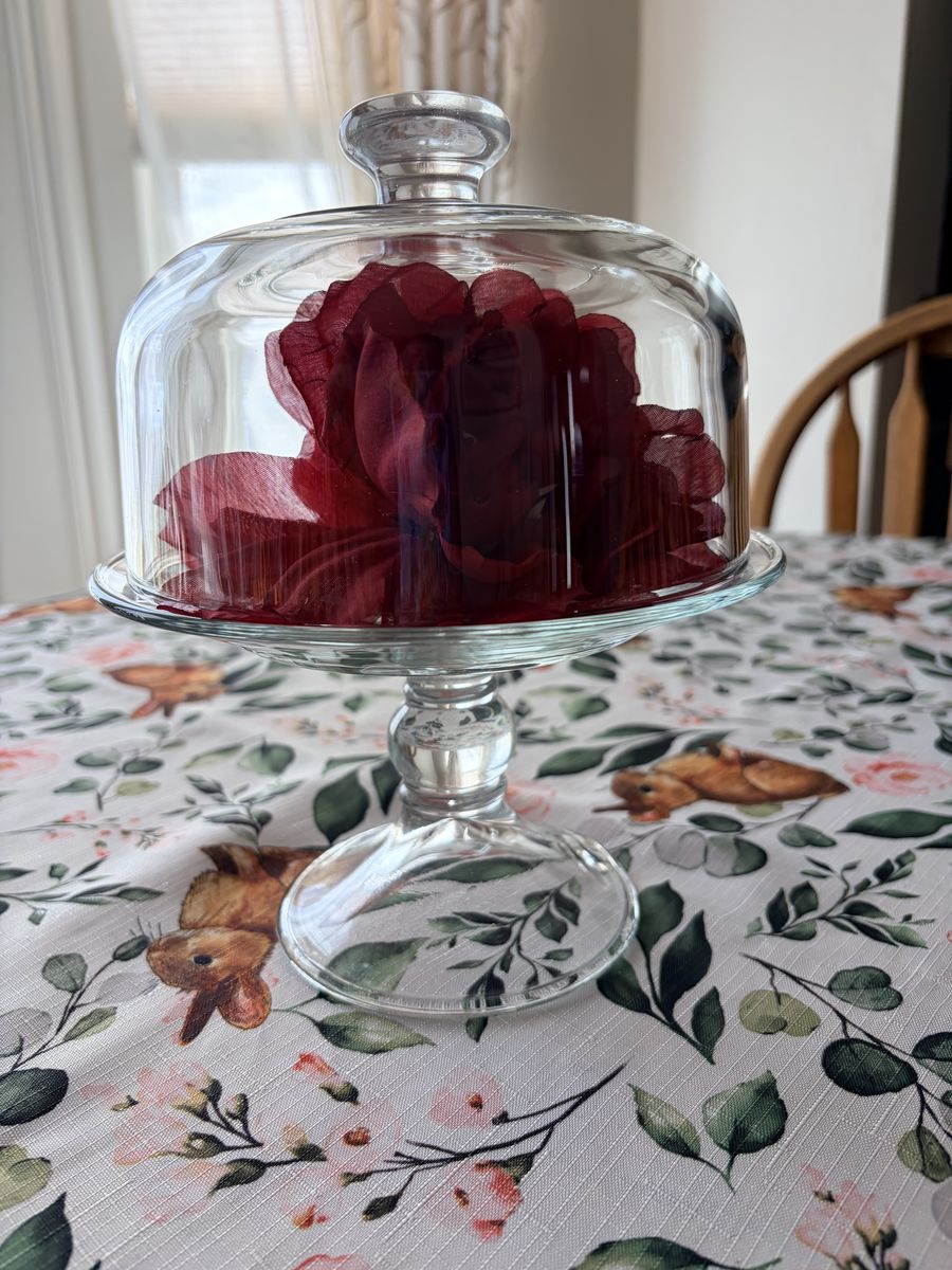 Small Cakw Stand With cloche