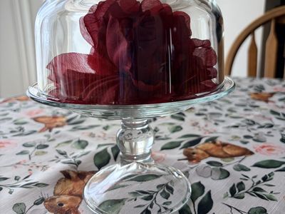 Small Cakw Stand With cloche