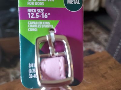 Brand New Bling Dog Collar Sz: Medium