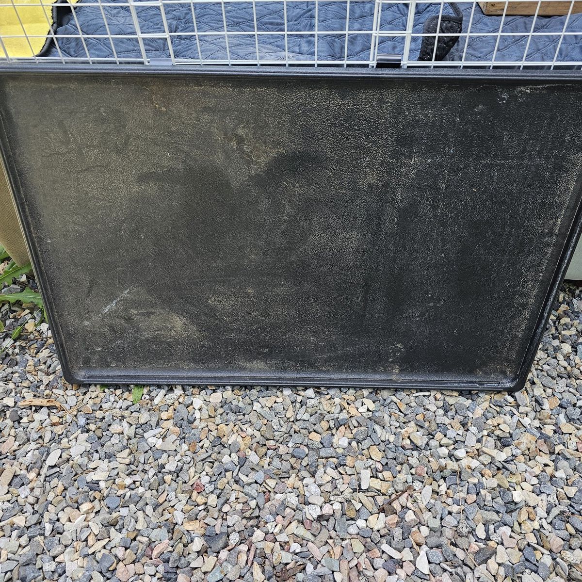 Ferret/Critter Nation Replacement Tray