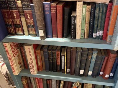 Antique & vintage books. Medical, Educational, LDS Mormon. Church, cooking. Make great room decorations and reads. Old hardbacks