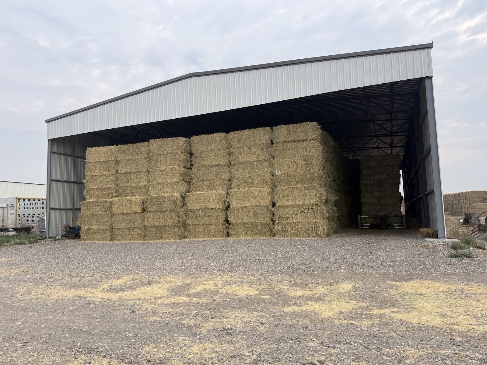 Timothy Hay 1st cut